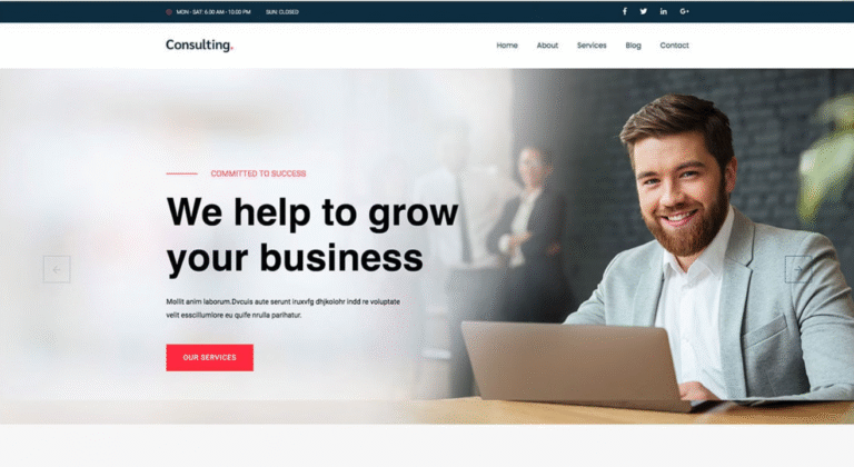 Consulting